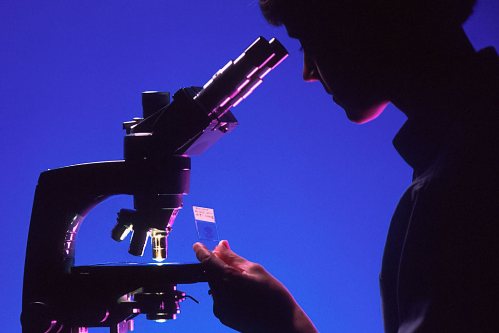 Understanding Food Allergy Research News