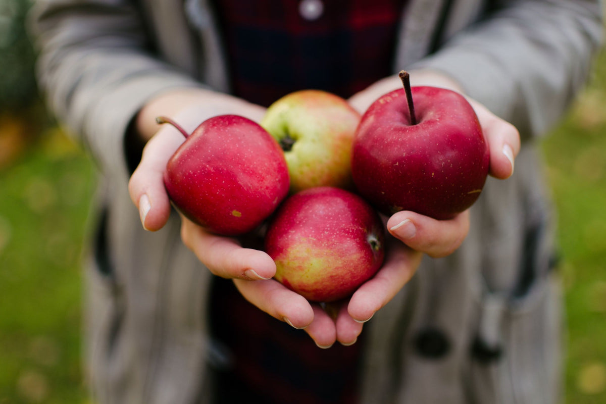 Four Appleicious Allergy-Friendly Treats